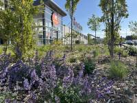 Alexis PERSIAUX - ARCARRé Architectes